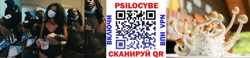закладки  Кирово-Чепецк  Галлюциногенные грибы мицелий 