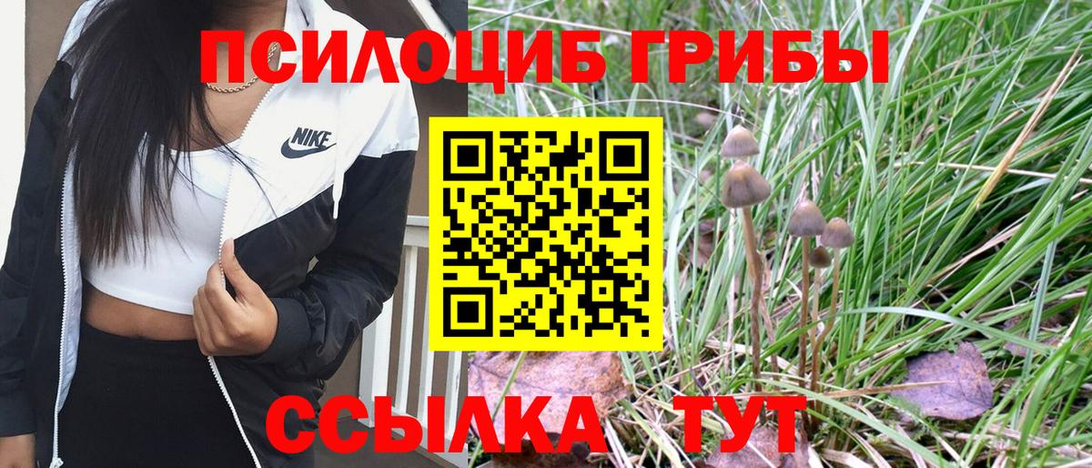 Псилоцибиновые грибы Psilocybine cubensis  Галлюциногенные грибы Psilocybine cubensis  Кирово-Чепецк  Вход с VPN 